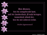 Irischer Segenswunsch 2