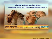 Ganz schön ruhig hier