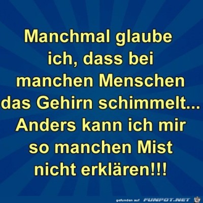Das-Hirn-schimmelt.jpg von Harald48