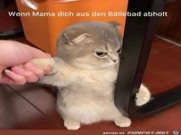 Vom B�llebad abgeholt worden