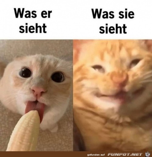 Unterschiedliche-Sicht.jpg auf www.funpot.net