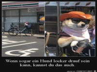 Hund ist locker drauf