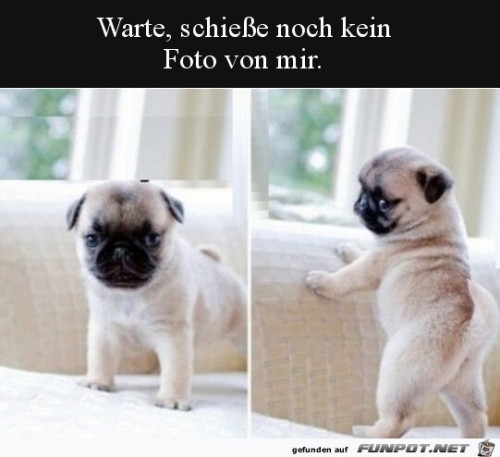 Warte-mit-dem-Foto.jpg auf www.funpot.net