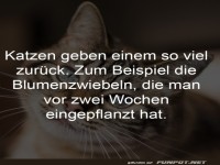 Katzen und ihre �berraschenden Geschenke