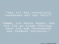 Das schnellste Lebewesen am Freitag