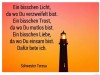 weiter