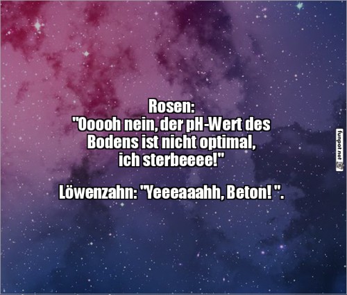 Wie-Pflanzen-auf-Probleme-reagieren.jpg auf www.funpot.net