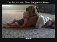 Baby's bester Rckenlehnen-Buddy