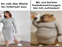 Online Shopping Erwartungen vs. Realität