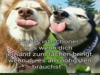 Zwei Hunde, eine Mission: Gute Laune!