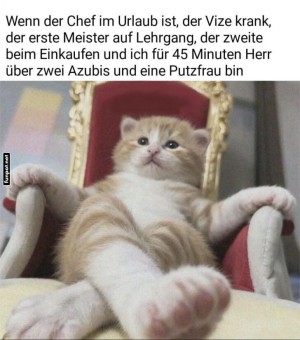 Chef-f�r-45-Minuten!.jpg auf www.funpot.net