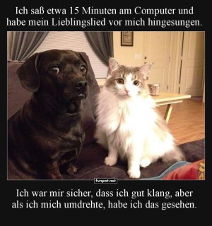 Songkritiker-auf-vier-Pfoten.jpg auf www.funpot.net