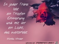 in-jeder-traene
