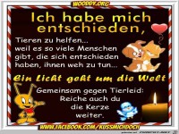 Ich habe mich entschieden