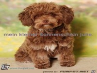 mein kleiner Sonnenschein Julie 