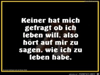 Keiner hat mich gefragt