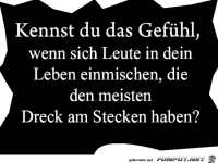 kennst du das gefaeuehl 