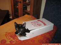 Caruso Nina 2007 027