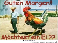 guten morgen 