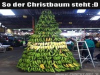 Super Baum
