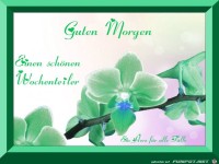 Schoenen Wochenteiler