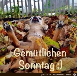 Sonntag.jpg auf www.funpot.net