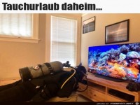 Tauchurlaub zuhause