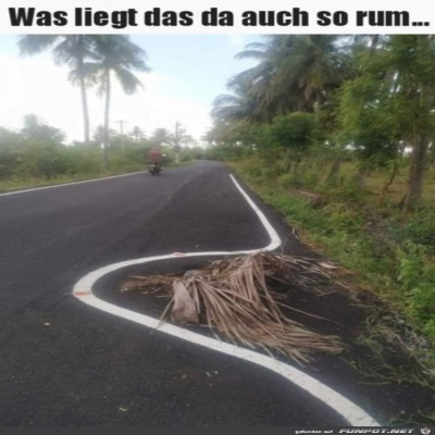 Liegt-das-einfach-im-Weg.jpg von SWolle