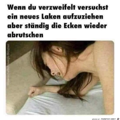 neues-Laken.jpg von Pina