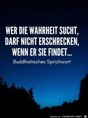 Die-Wahrheit-suchen.jpg auf www.funpot.net