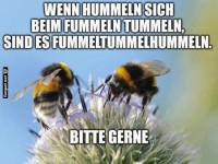 Nettes Wortspiel