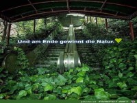Natur gewinnt