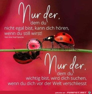 Nur-der-den-du-nicht-egal-bist.jpg auf www.funpot.net