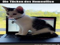 Im Homeoffice