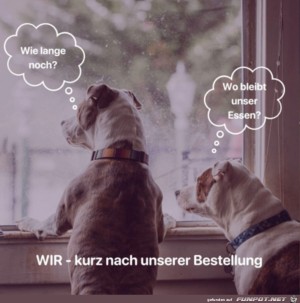 Auf-eine-Bestellung-warten.jpg auf www.funpot.net