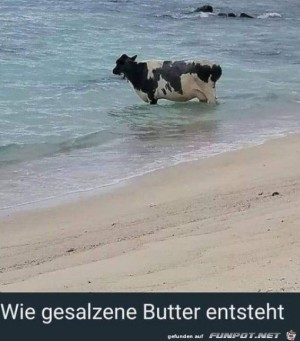 Gesalzene-Butter.jpg auf www.funpot.net