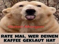 Guten morgen