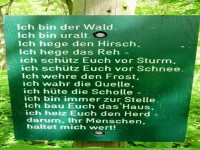 Ich bin der Wald