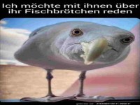Ich will über das Fischbrötchen reden