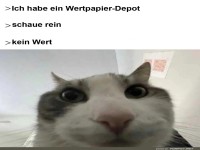 Katze und die Wahrheit �ber Depots