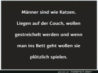 M�nner sind wie Katzen