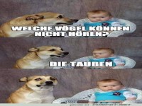 Lustiger Dialog zwischen Hund und Baby