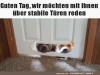 weiter