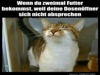 wenn du zweimal futter bekommst