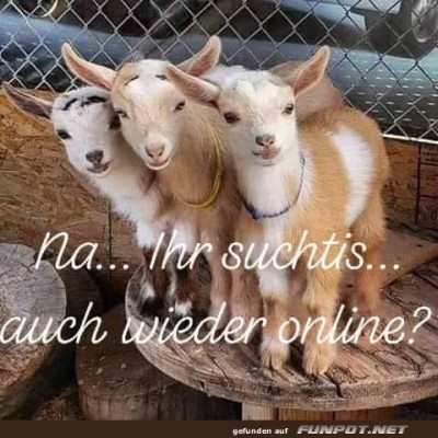 Auch-wieder-online.jpg von Queen92