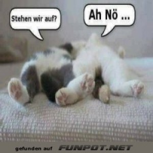 Aufstehen.jpg von Nachtstern