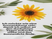 ich m�chte wie eine sonnenblume
