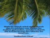 weiter