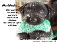 halloho