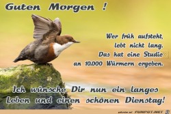 Dienstag.jpg auf www.funpot.net